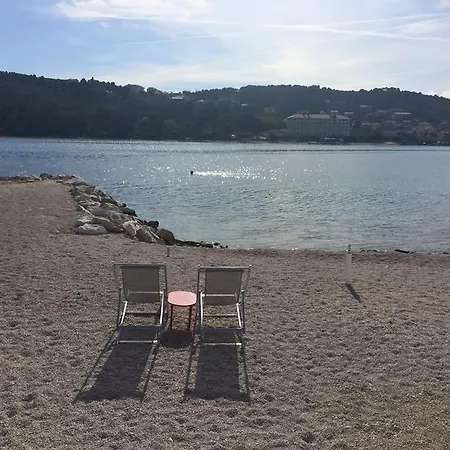 Tragos Lemon Tree Τρογκίρ