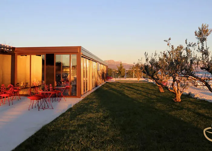 特拉格斯柠檬树公寓